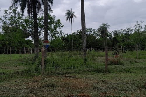 Terreno en Venta en Itá! Excelente Ubicación — foto 4