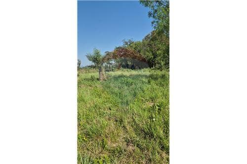 📣imperdible oportunidad!! Terreno de 1440 m2 en estmzuela - itauguá📣 — foto 2