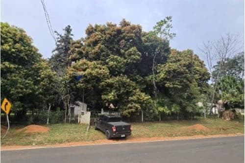 2 Has + 1.588 m² en Patiño, Itauguá, foto 3