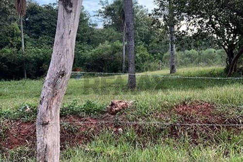 ¡Terreno Ideal para Inversión! 15 Lotes en Itauguá, foto 3