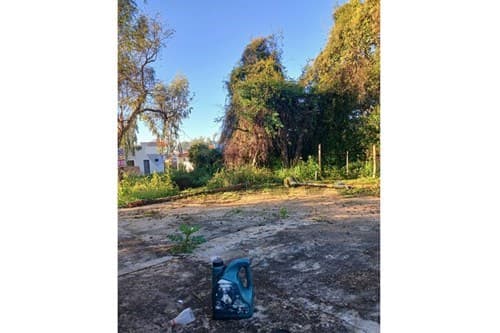 Terreno Ideal en Ypané: Tu Futuro Oasis Espera — foto 5