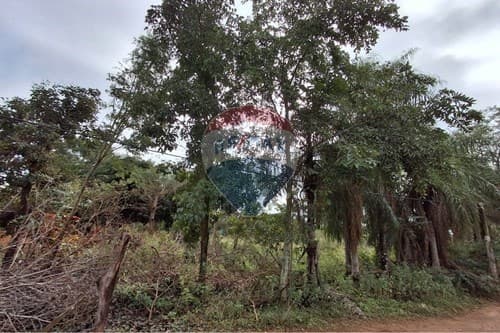 Terreno en santa elena cordillera — foto 4