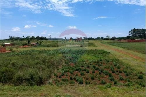 En venta dos terrenos juntos en minga guazu — foto 4