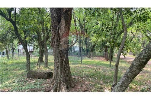 Espectacular terreno en bº hollywood-surubii — foto 4