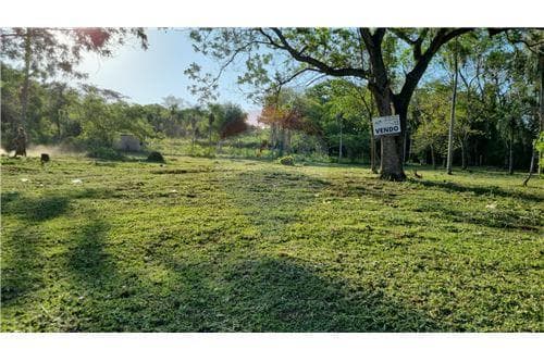 de Terreno en Limpio — foto 2