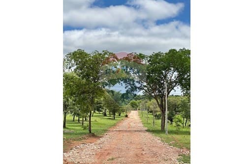 Terreno de 1.200 m2 en Nueva Colonia — foto 3