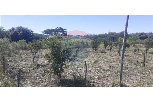 en Venta Terreno en San Juan del Parana — foto 4