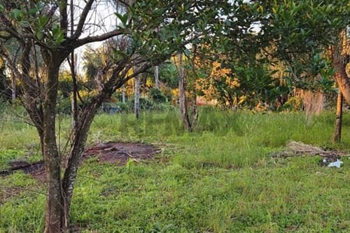 Amplio Terreno de 1491 m2 en Capiatá — foto principal