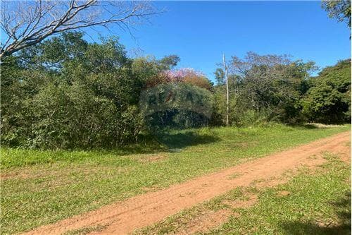 Terreno Atyra "Quinta" Fracción Belv — foto 3