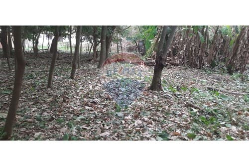 1440 m2 en San Bernardino z. Avda ciervo cua — foto 4