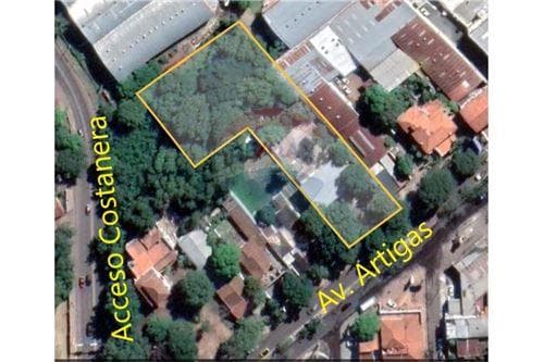 Gran terreno sobre artigas y av costanera — foto 2
