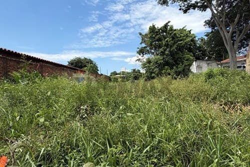 Vendo terreno bº mbokajaty, Villa Elisa