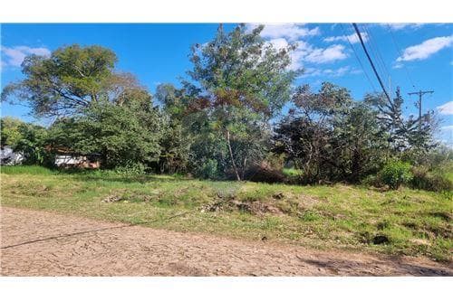 Terreno en limpio – isla aveiro — foto 4