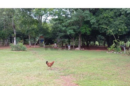VENTA-Terreno 8125m² en Emboscada