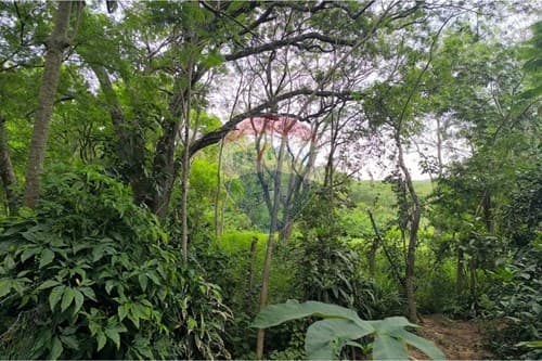 Casa en cerro real - caacupe — foto 4