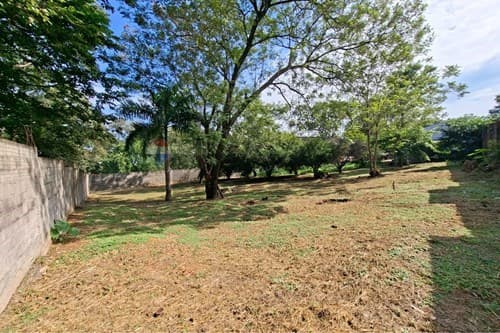 Oportunidad comercial en Villa Elisa — foto 4