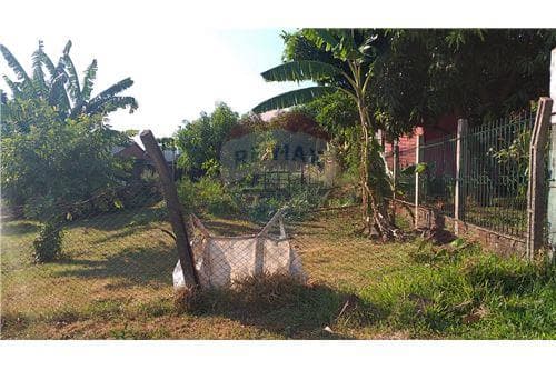 Hermoso terreno en San Juan del Paraná — foto 5