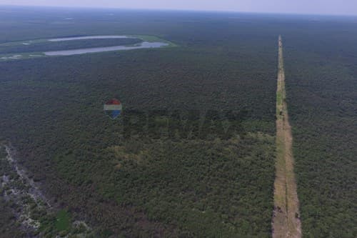 Excelente oportunidad Campo virgen Chaco Paraguayo — foto principal