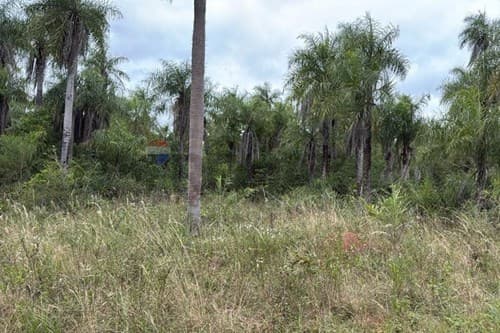 Terreno en Caacupé: Tu Sueño, Tu Realidad — foto 2