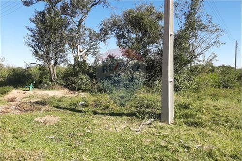 Terreno zona Luque aregua — foto 2