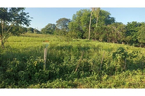¡Terreno en venta en Km 15 - Concepcion - Belen!, foto 3