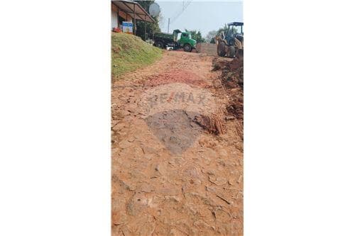 Terreno de 1 Hectárea
