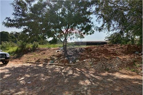 Terrenos en lambare san isidro — foto 3
