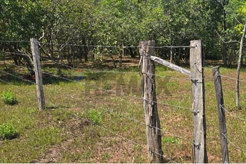 En venta 4 terrenos juntos - Atyra — foto 3