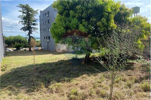 Oportunidad de inversión única en Encarnación — foto 3