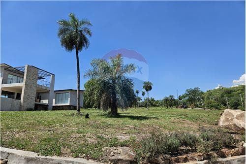 Alta pietra: Imponente vista en el verano, foto 4
