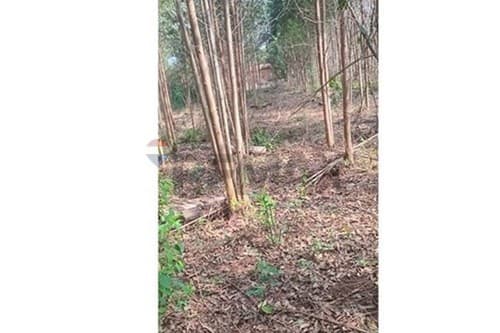 ¡Invierta en terreno ideal en Itauguá, Paraguay! — foto 5