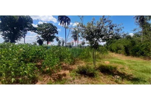 En venta 8 has en Altos