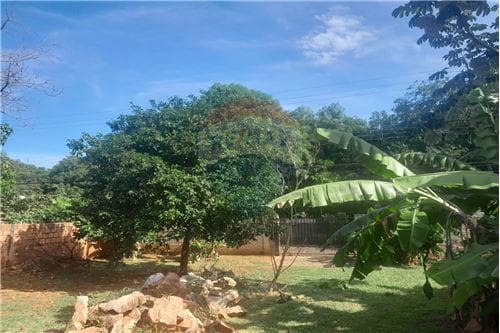 Excelente Oportunidad Vendo Lote en Ñemby — foto 3