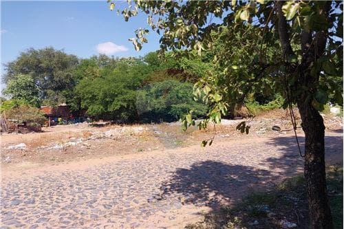 Terreno zona yacht — foto 2