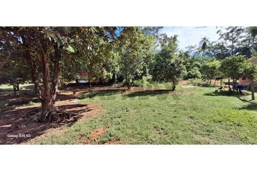 Terreno en venta en Loma Grande 6 lotes juntos — foto 3