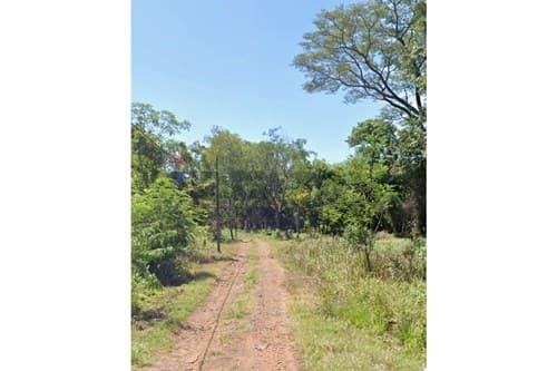 Terreno en san juan del parana — foto 2
