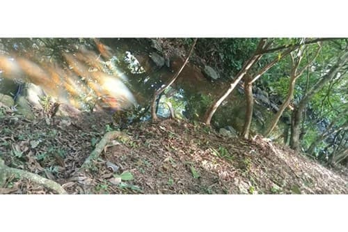 Terreno de 828m² en Nueva Colombia, ¡Invierte ya!, foto 2