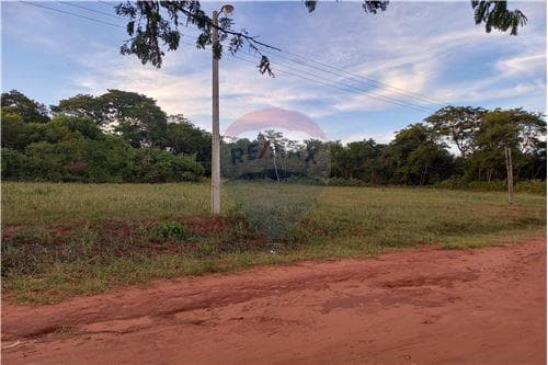 📍 ¡Terreno en Ypané a Precio de Oportunidad! 🏡 — foto 2