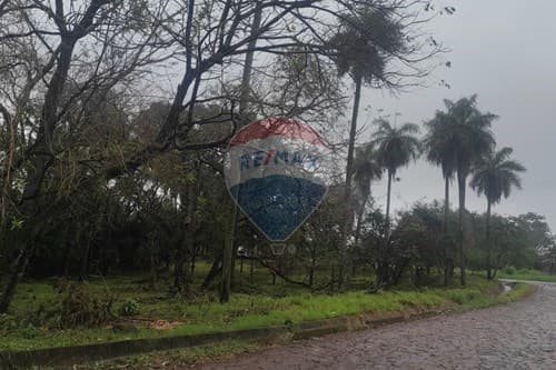Amplio terreno en esquina — foto 5