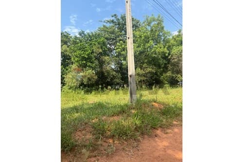 Terreno en Luque Cañada san Rafael — foto 4