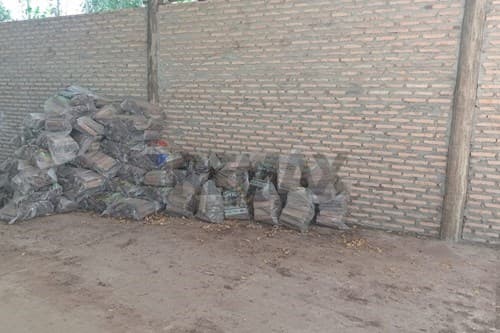 de propiedad rural, reforestaciòn — foto 3