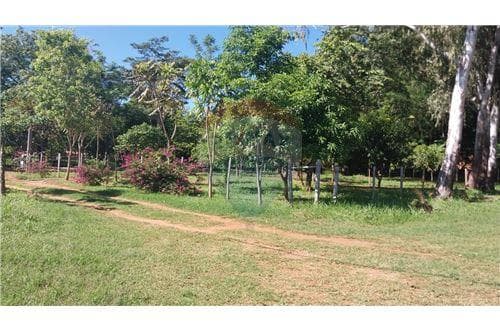 Tres terrenos juntos en atyra, foto 4