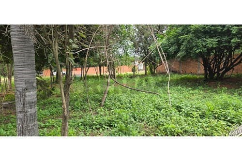 Terreno en venta - Luque, barrio zarate isla — foto 3