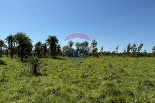 ¡Terreno Ideal en Ypacaraí, 2400m²! — foto 5