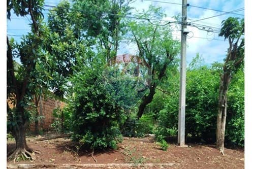 Terreno en Presidente Franco, foto 3