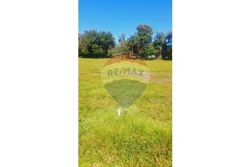 Terreno en venta san juan bautista misiones — foto 3