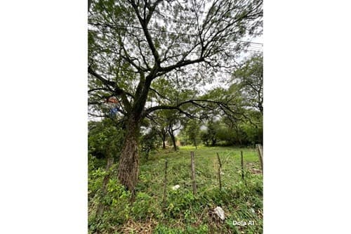 Terreno en Mbayué: Construya su Hogar Ideal — foto 2