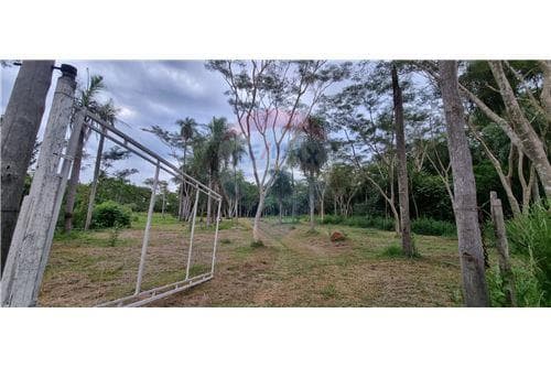 1 hectareas en yaguaron — foto 3