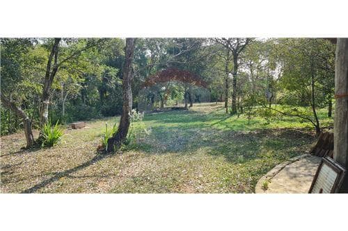 Hermosa propiedad 2,5 Hectareas en Loma Grande — foto 4
