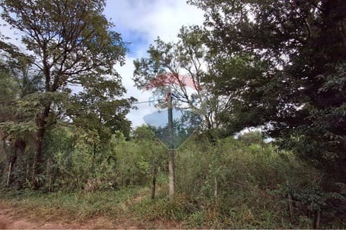 Terreno en santa elena cordillera — foto 1